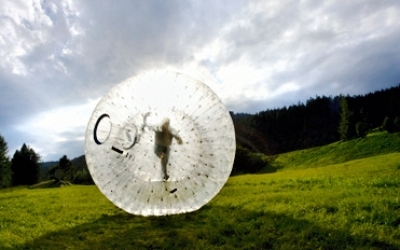 d_10004-zorbing